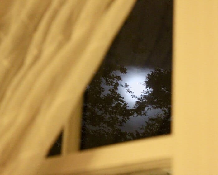 Moon at the dinner party