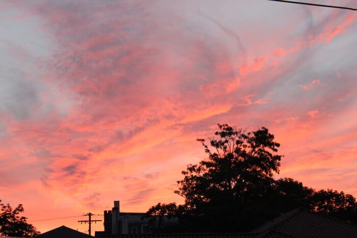 sunset martha's vineyard