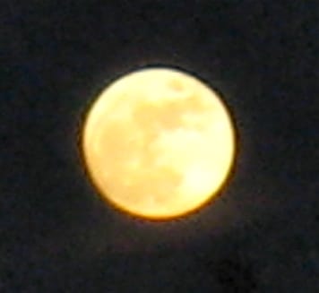 Yellow moon