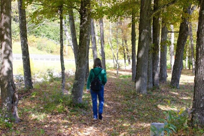 walking in vermont woods