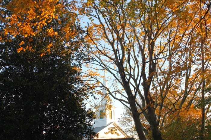 fall on Martha's Vineyard