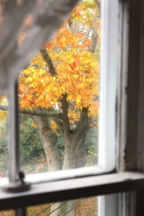 from the bedroom window