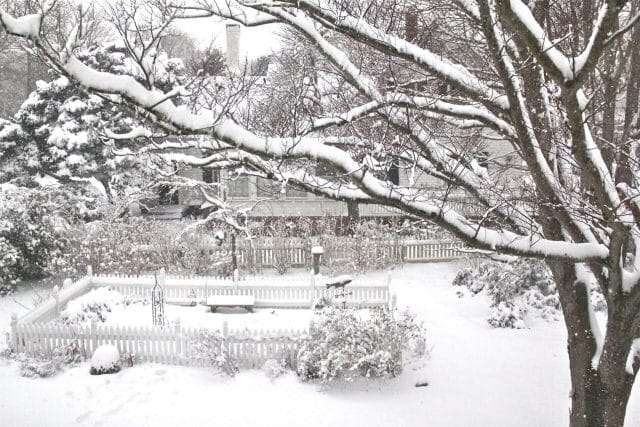 Kitchen garden in winter