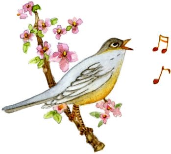 SingingBird