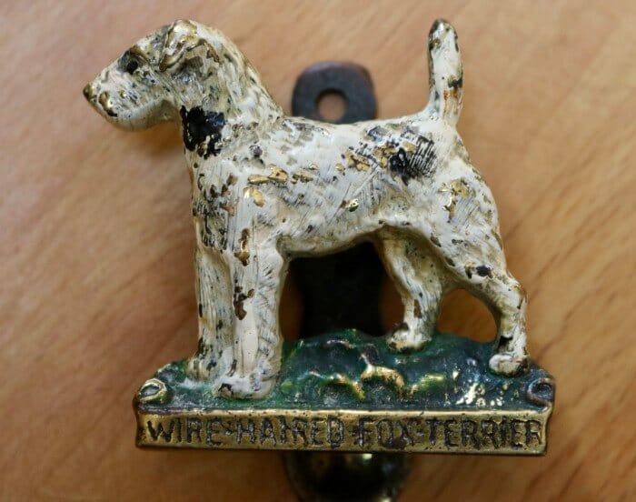 dog gift for ray and paul