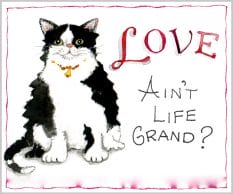 words cat critters love life is good