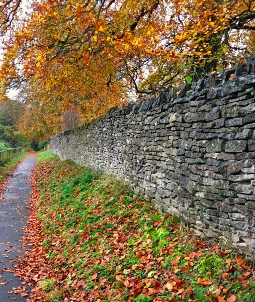 endorse fall path walk with siobhan in stow