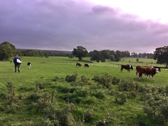 walk devonshire arms bolton abbey