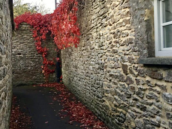 endorse fall walk following siobhan around malmesbury