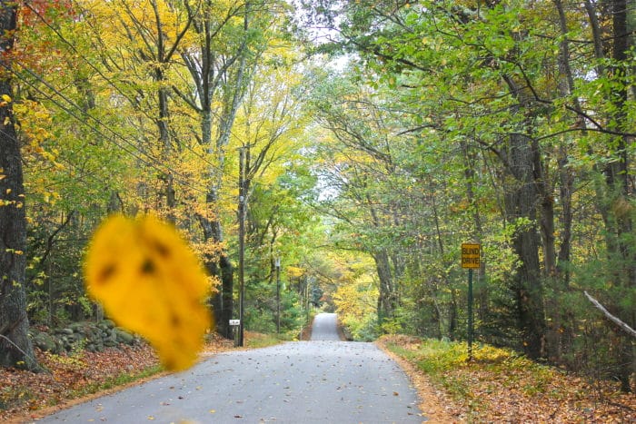 Backroads of New England