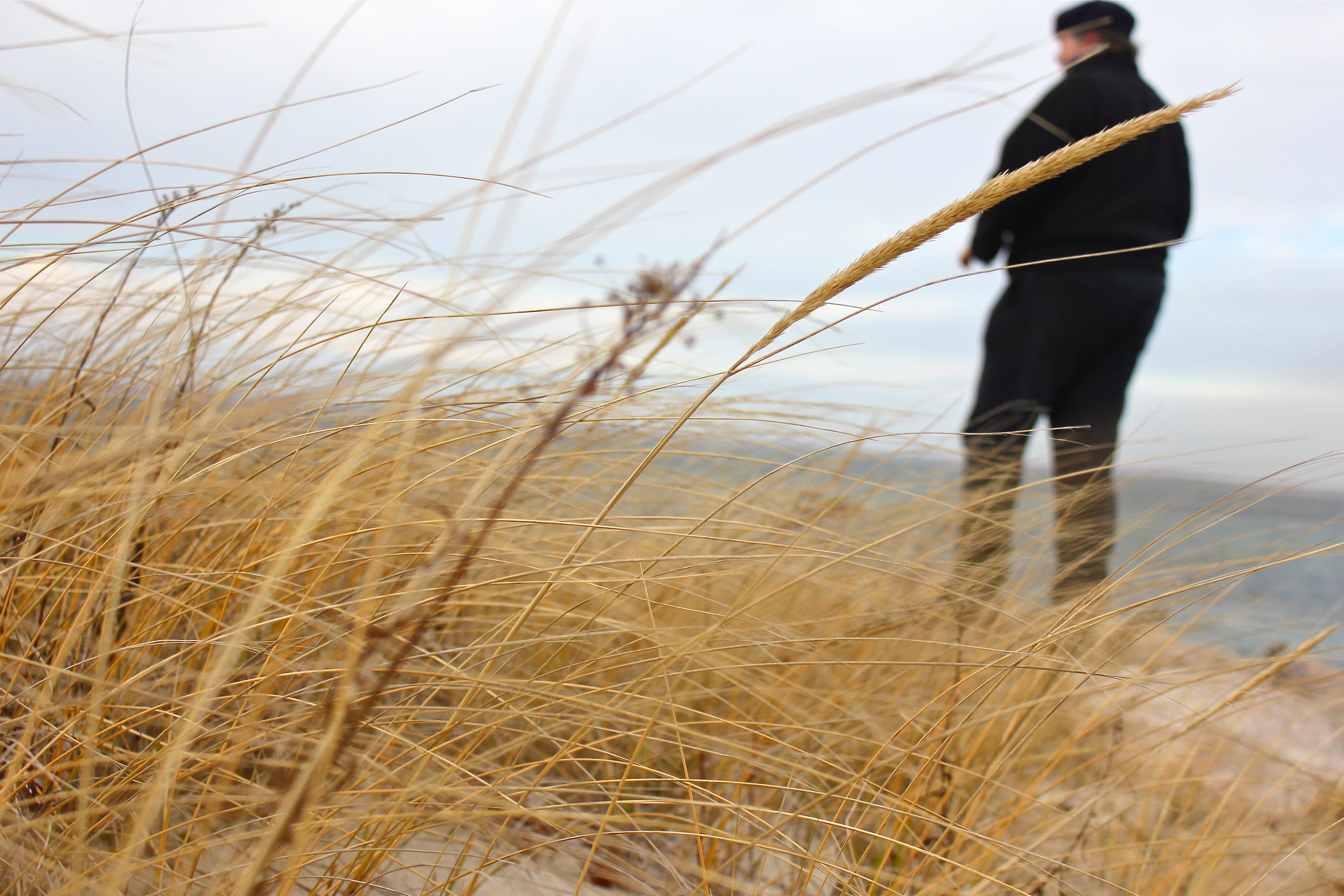 lovely day in neighborhood