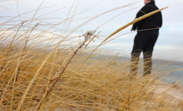 lovely day in neighborhood